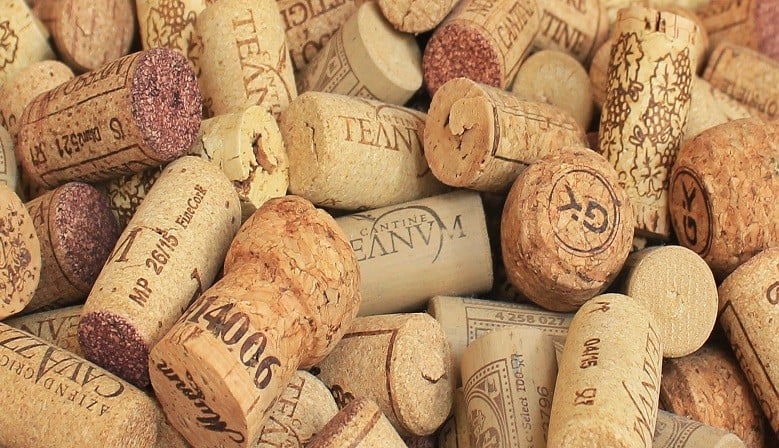 Cantovino 2